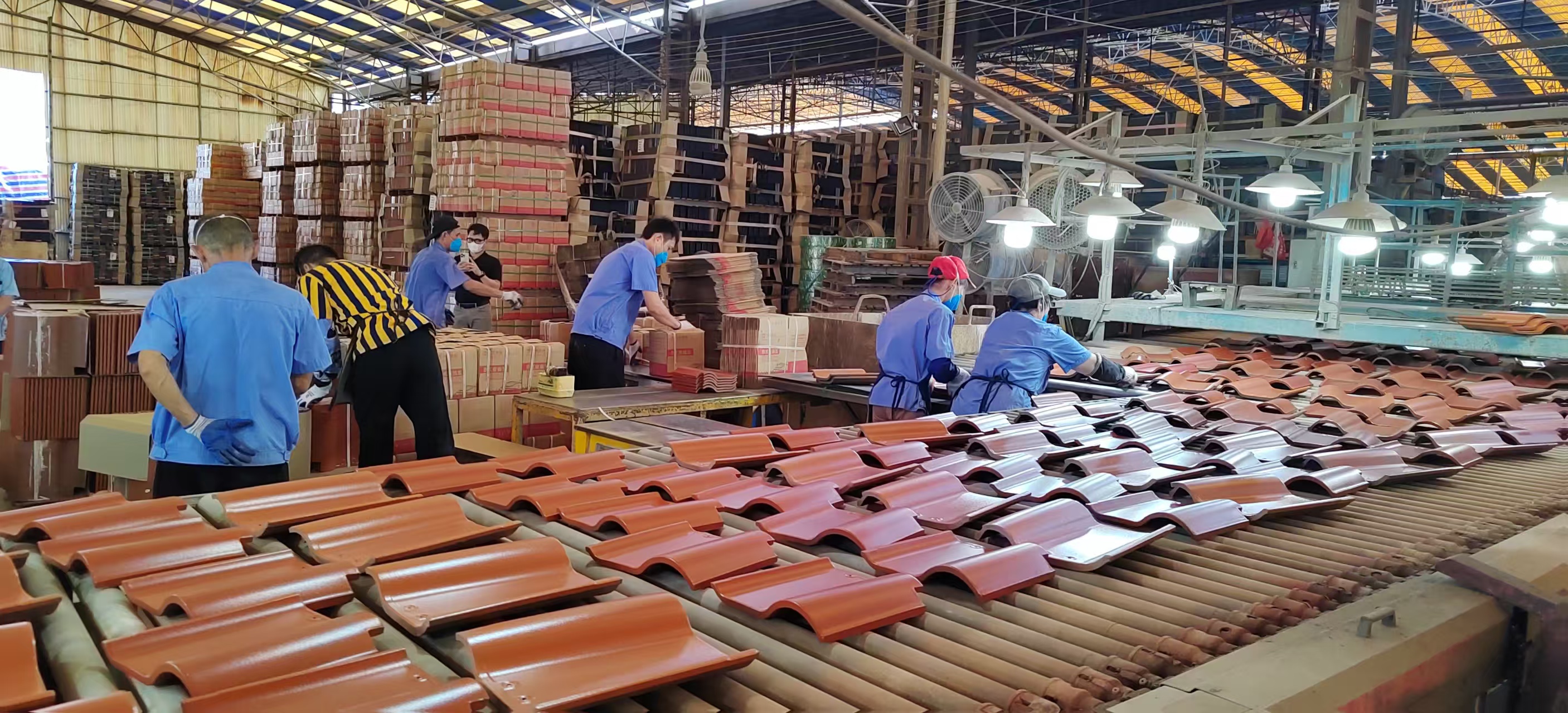 壹定发摘要2024第29期